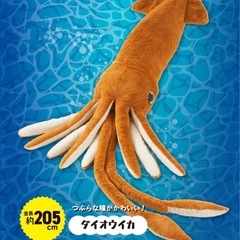 【受付停止】ダイオウイカ　ぬいぐるみ　抱き枕の画像