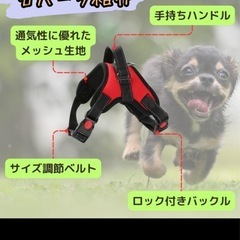 犬用ハーネスの画像