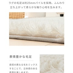 185×240cm 洗えるラグマットの画像