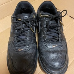 NIKE エア フォース 1 ラックス28㎝の画像