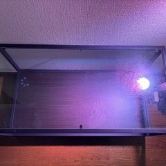 IKEA ガラス ローテーブルの画像