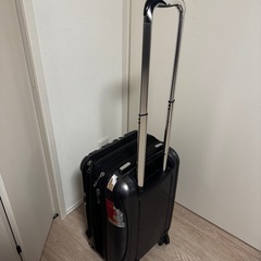 Delseyスーツけケースの画像