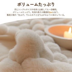 ふわとろ毛布 Lサイズ 160×200cm ホワイト ふわもこ毛布 ブランケットの画像