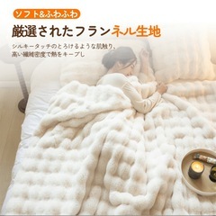 ふわとろ毛布 Lサイズ 160×200cm ホワイト ふわもこ毛布 ブランケットの画像