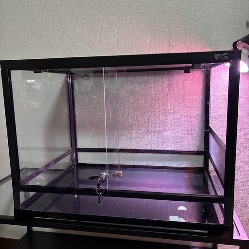 爬虫類 飼育ケース パンテオン BK6045 repti wild