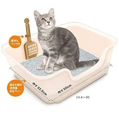 獣医師開発猫トイレの画像