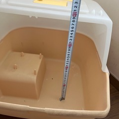 猫ちゃんのトイレの画像