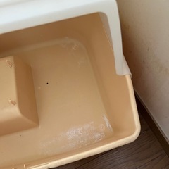猫ちゃんのトイレの画像