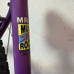BRIDGESTONE WILD WEST MR-3 パープル×イエローの画像
