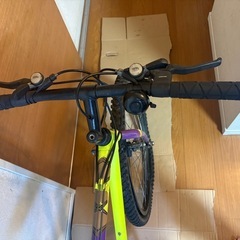 BRIDGESTONE WILD WEST MR-3 パープル×イエローの画像