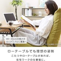 ドウシシャ 座椅子の画像