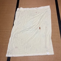 タオルケットの画像