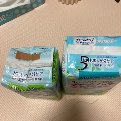 チャームナップ パンティライナーの画像