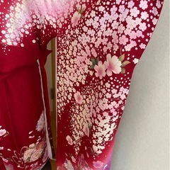 成人式 振袖（振袖のみ
）の画像