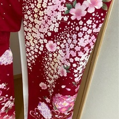 成人式 振袖（振袖のみ
）の画像