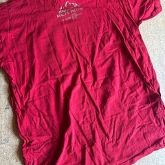 ペルー　マチュピチュ　Tシャツ　Mの画像