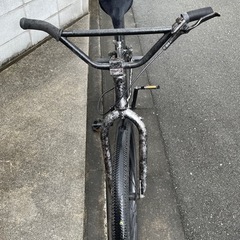 SEBIKES  SAVAGEFLYER 27.5 silver blackの画像