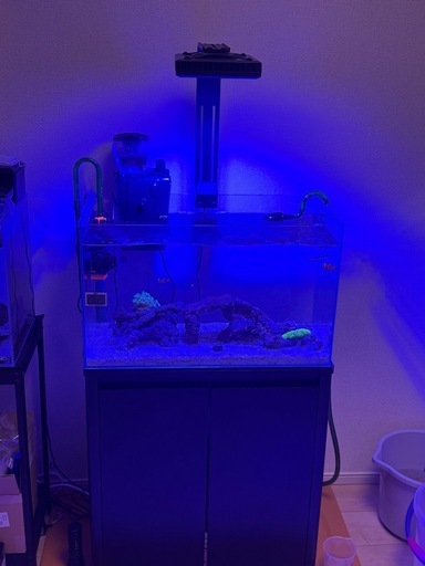 海水魚水槽セット！引き取り限定です。 【公式通販】