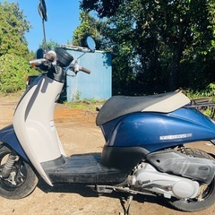 ★HONDA today F★ ホンダ トゥデイF 50CC scooterの画像