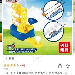 ミニゴルフトレーナーの画像