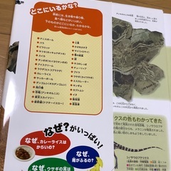 学研の図鑑　なぜ？の図鑑　の画像