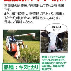 令和７年三重県産キヌヒカリ　玄米30kgの画像