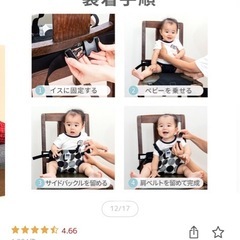 キャリフリーチェアベルトの画像