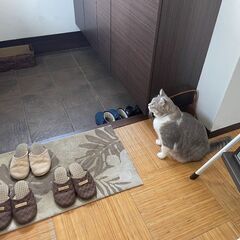 女性専用のパソコン教室Macaronです❁𓏲𓎨