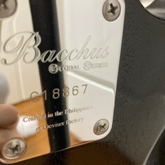 ベースギター　バッカス　アンプ　他の画像