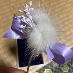 アクセサリーの画像