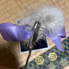 アクセサリーの画像