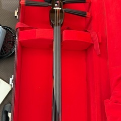 八重山黒木！三線1枚張り❣️の画像