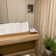 チェリー音楽教室🍒　ピアノ🎹の画像