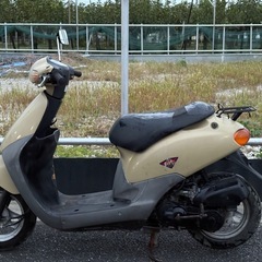 原付⭕️ホンダ　フィット⭕️格安現状販売の画像