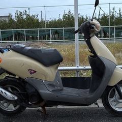 原付⭕️ホンダ　フィット⭕️格安現状販売の画像