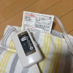電気毛布の画像