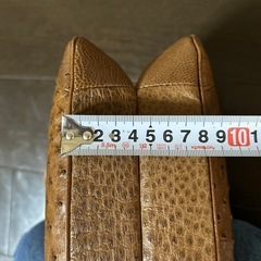 クラインカルーKKLKオーストリッチレザー　茶色の画像