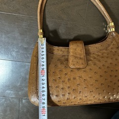 クラインカルーKKLKオーストリッチレザー　茶色の画像
