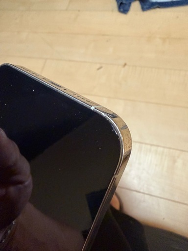 iPhone12 Pro
Max