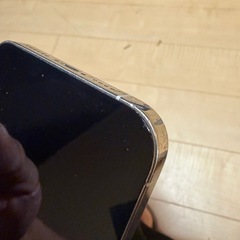 iPhone12 Pro
Maxの画像