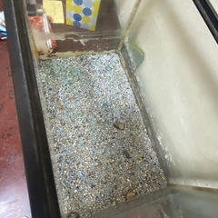 お取引中です！水槽の画像