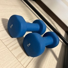 【値下げ】鉄アレイ付⭐︎ぶら下がり健康器 /筋トレ/ダイエットの画像