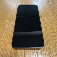 【美品】iphone 16 pro max 256gb バッテリー99%の画像