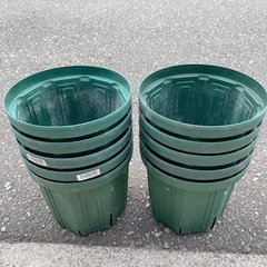 カネヤのスリット鉢 6号 18cmの画像