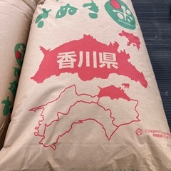 令和7年産　コシヒカリ　　玄米の画像