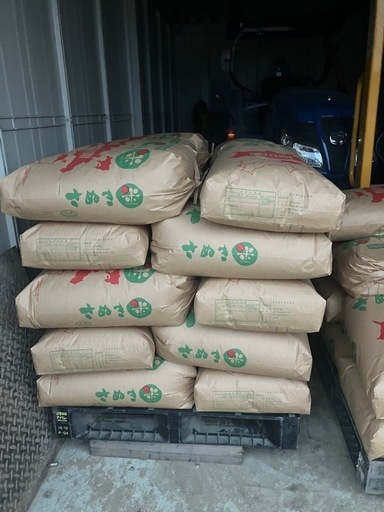 令和7年産　コシヒカリ　　玄米