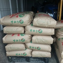 令和7年産　コシヒカリ　　玄米の画像