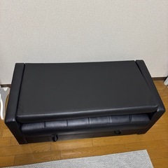 【無料/ダメージ写真有】収納ソファの画像