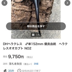 ヘラクレスヘラクレスの画像