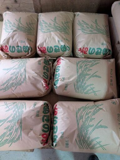 ⑦　令和7年度産　ヒノヒカリ　新米　玄米　30kg